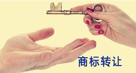 轉讓商標平臺能為用戶提供哪些服務